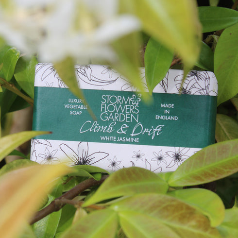 Climb and Drift | White Jasmine Soap Bar 190g